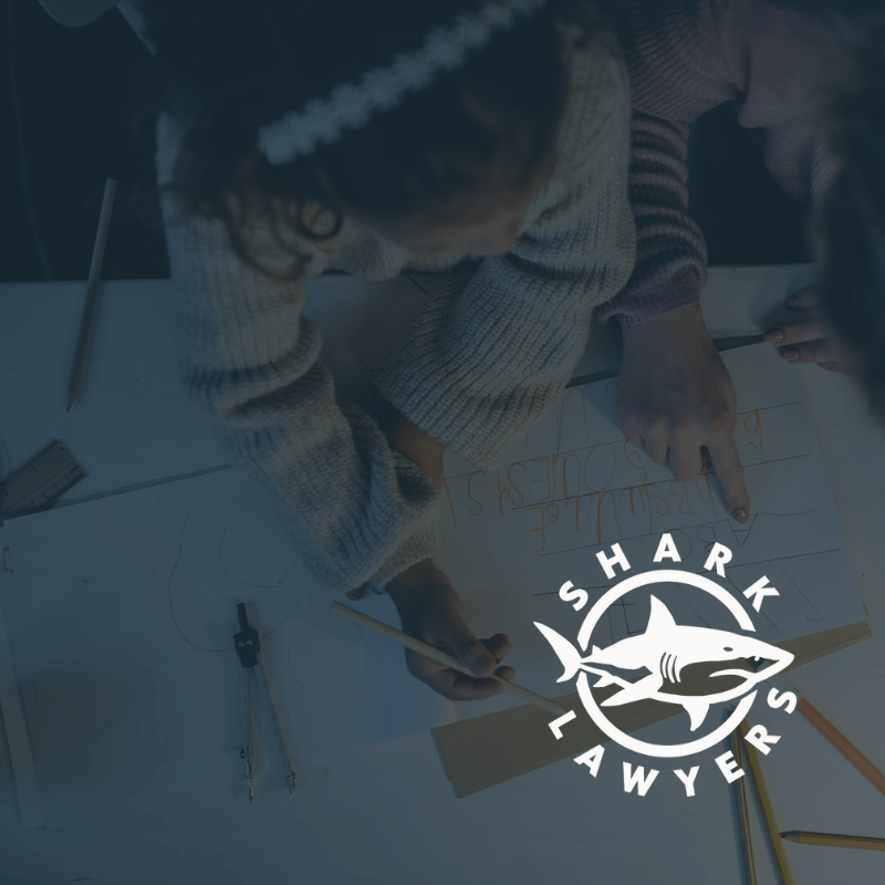 Whiteside county Illinois Child Support Attorney