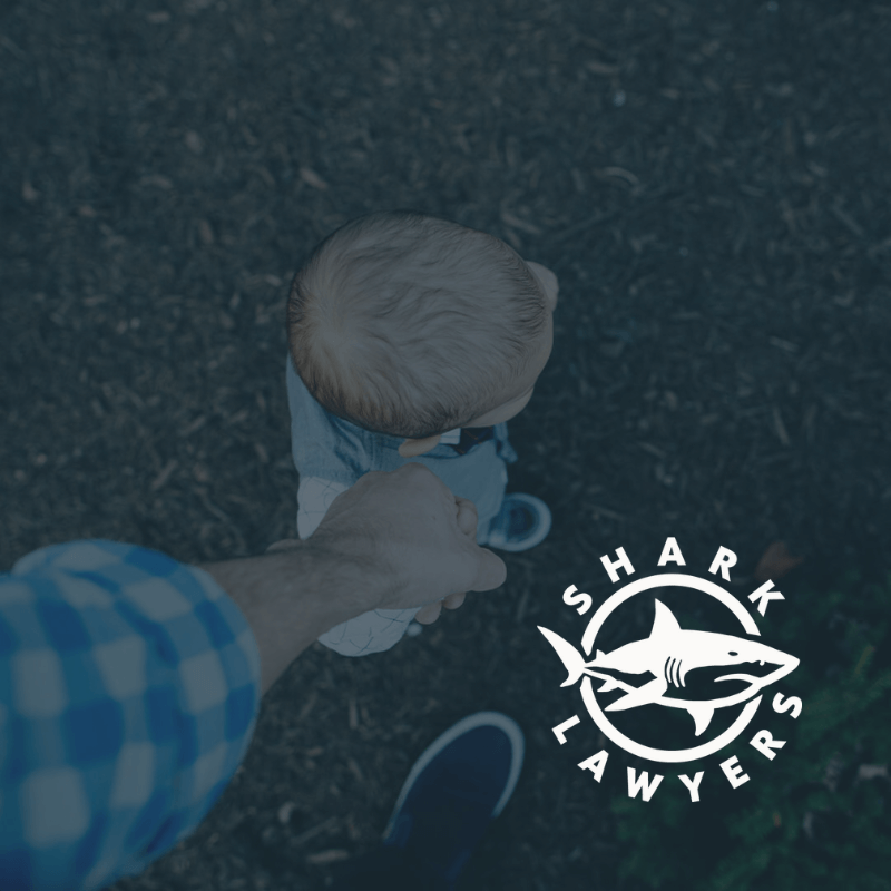 Whiteside county Illinois Fathers’ Rights Attorney