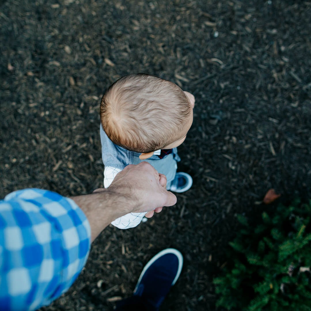 Shark Lawyers for Men - Highest-Rated Family Law Lawyer in Evanston IL - Fathers' Rights